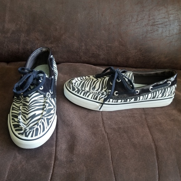 Zebra Sperrys - Picture 3 of 7